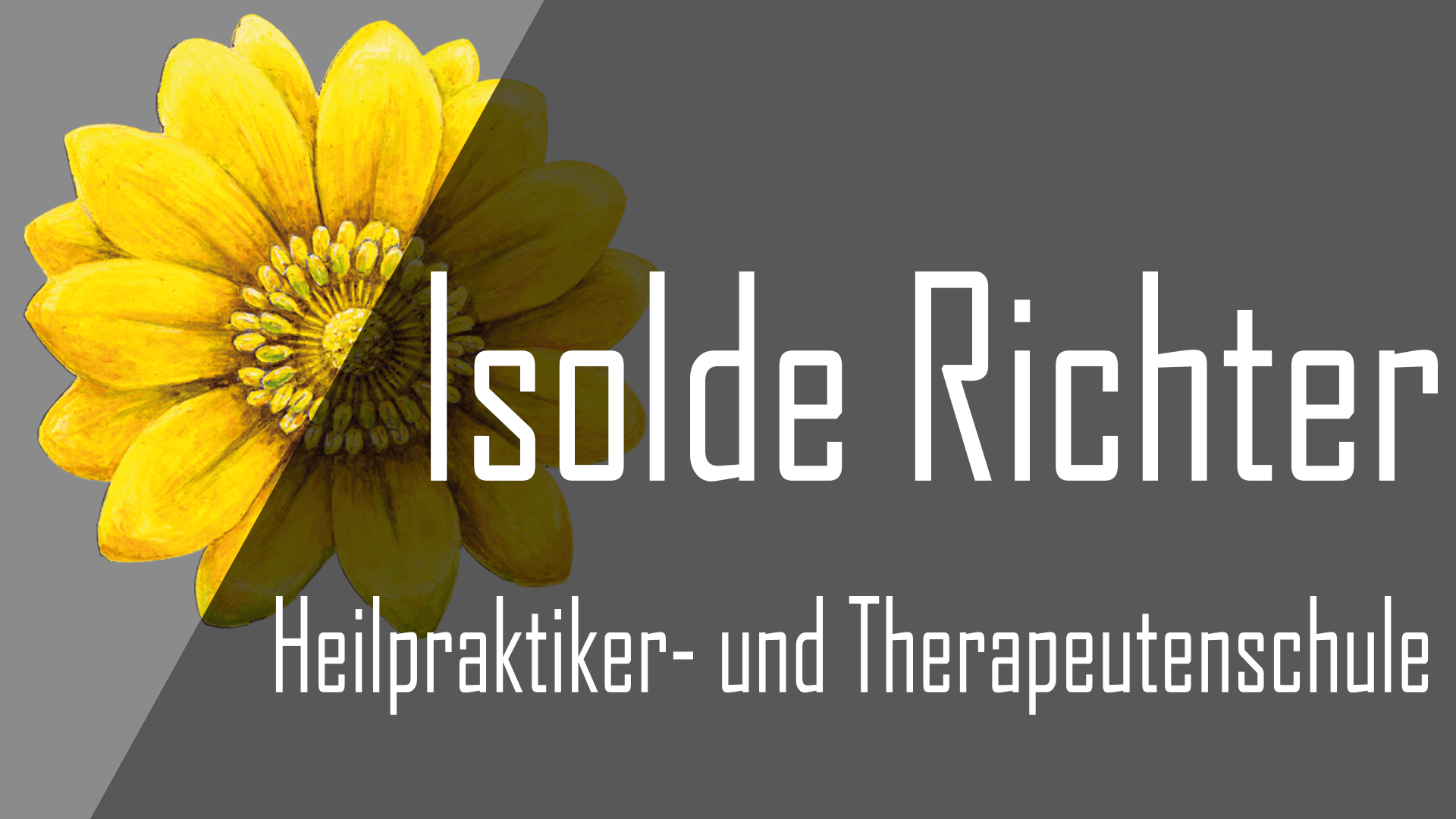 Logo der HP-Schule Isolde Richter, gezeichnete Adonispflanze.